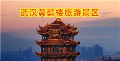 狠狠干女人的逼
