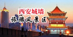 yazhousaobicaobi中国陕西-西安城墙旅游风景区