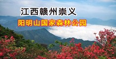大鸡巴操视